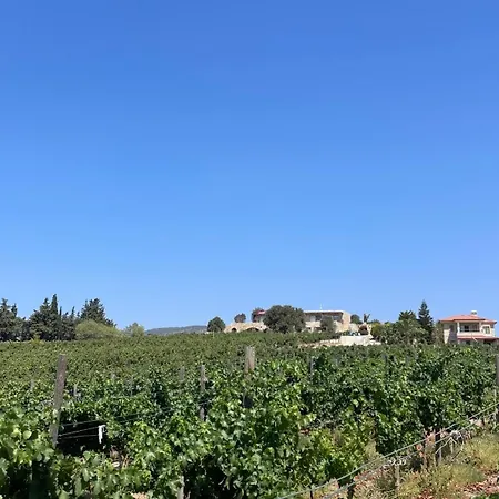 Vineyard Bed & Breakfast 2*