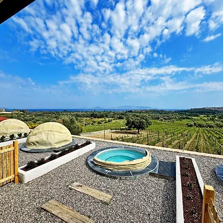 Vineyard Datça