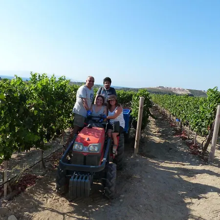 Vineyard Bed & Breakfast