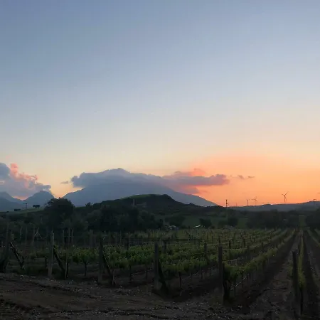 Bed & Breakfast Vineyard